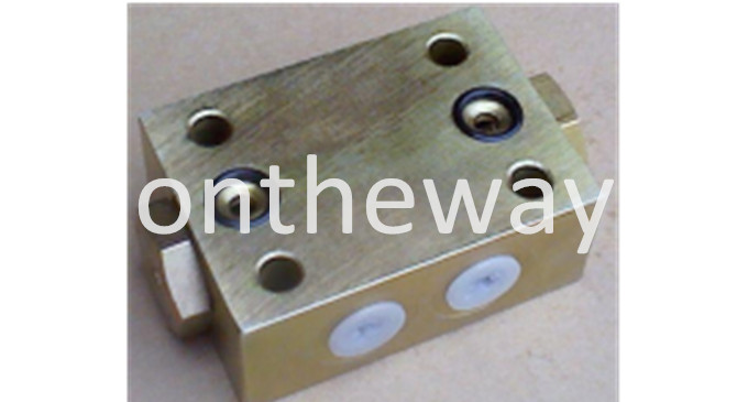 two-way hydraulic lock 